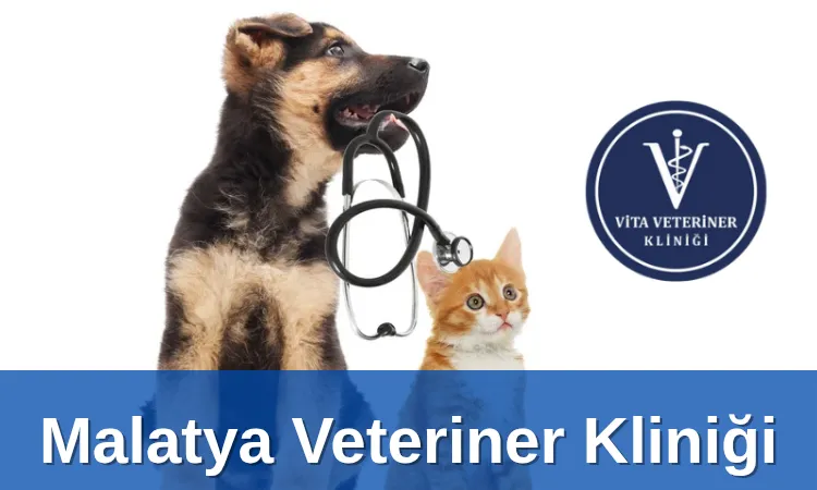 Malatya Veteriner